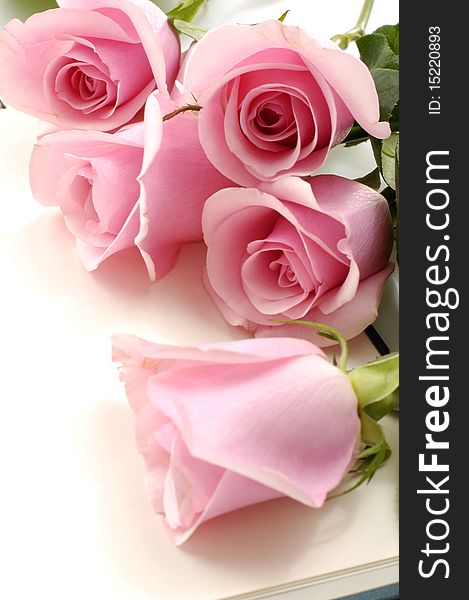 Beautiful soft pink roses bouquet  on notebook close up. Beautiful soft pink roses bouquet  on notebook close up
