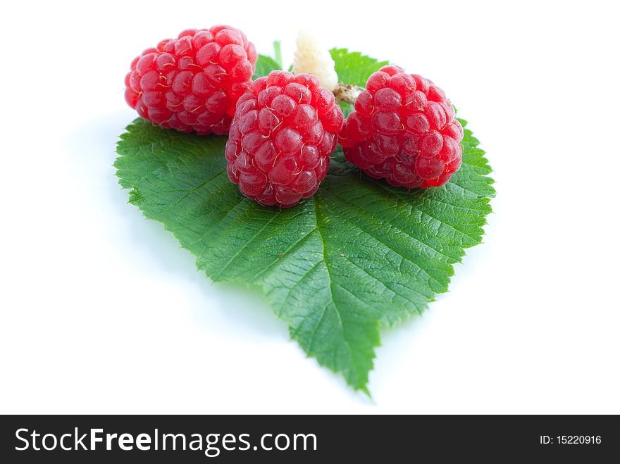 Raspberry with leaves isolated on white