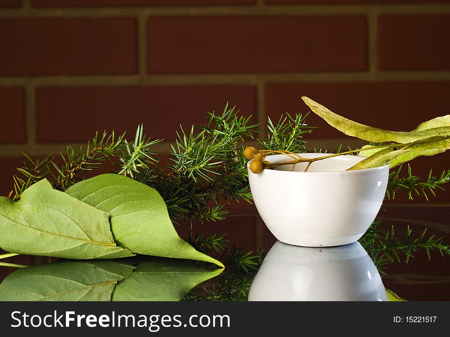 Lime buds and juniper branch on brick wall background