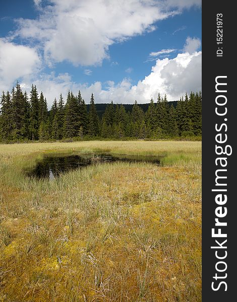 Beautiful summer landscape of a bog in Cindrel Mountains in Romania. Beautiful summer landscape of a bog in Cindrel Mountains in Romania.