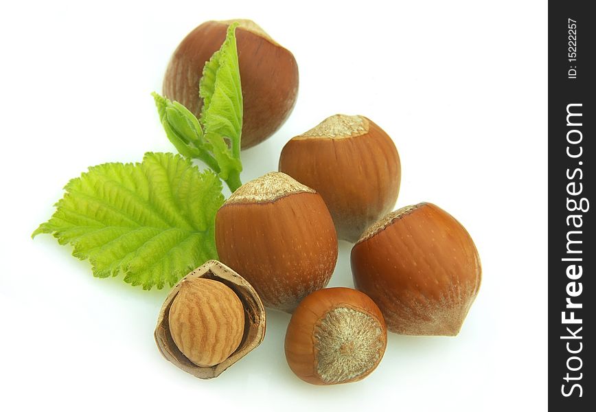 Group of wood nuts with leaves on white background