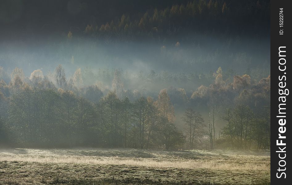 Early morning mist captured in scotland. Early morning mist captured in scotland