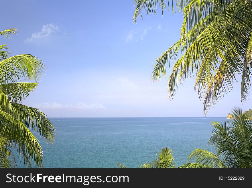 Fragment like View of nice tropical  coast with some palm. Fragment like View of nice tropical  coast with some palm