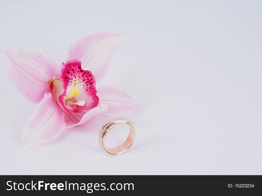 Wedding ring and flower on grey background