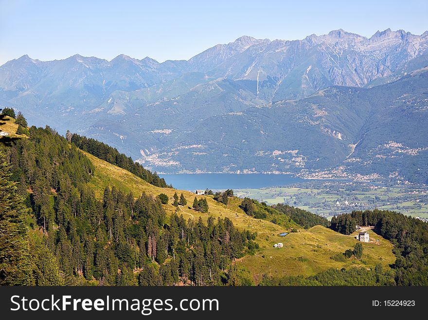 Trees in the mountains