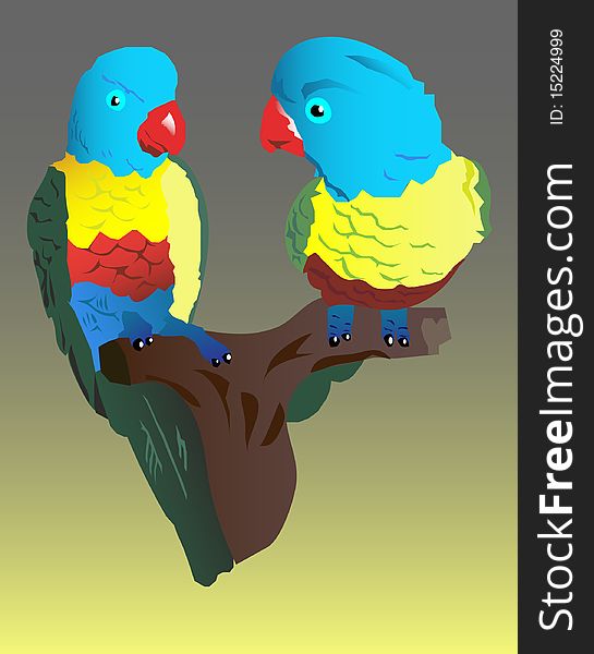 Two parrots