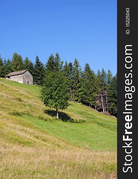 House In The Meadow