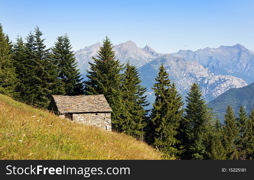 House In The Meadow