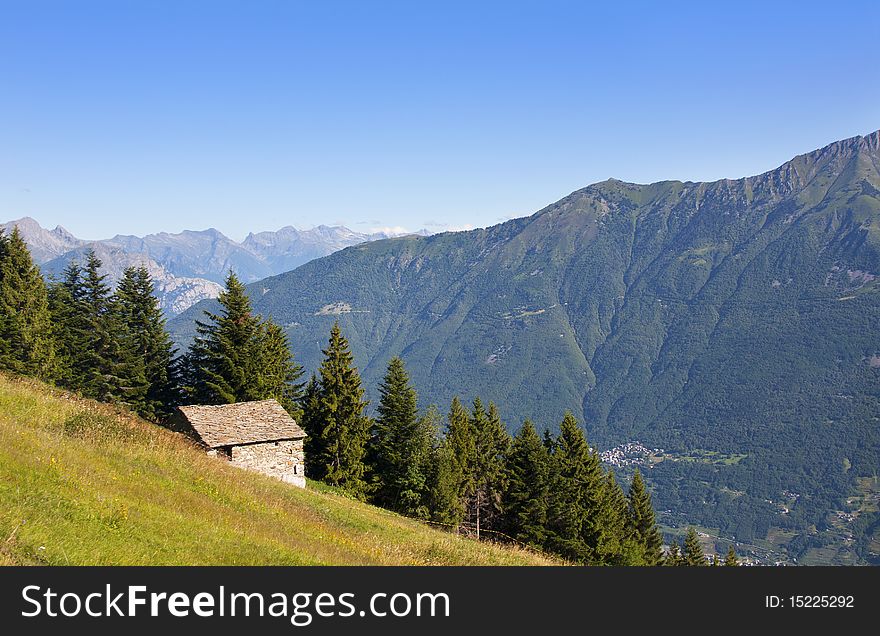 House In The Meadow