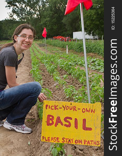 Young Woman Harvesting Basil