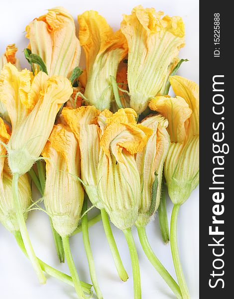 Orange Squash Blossoms Close Up