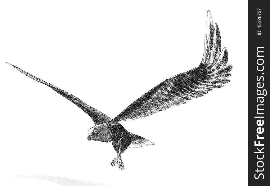 A 3D sketch render of a bald eagle in flight. A 3D sketch render of a bald eagle in flight.