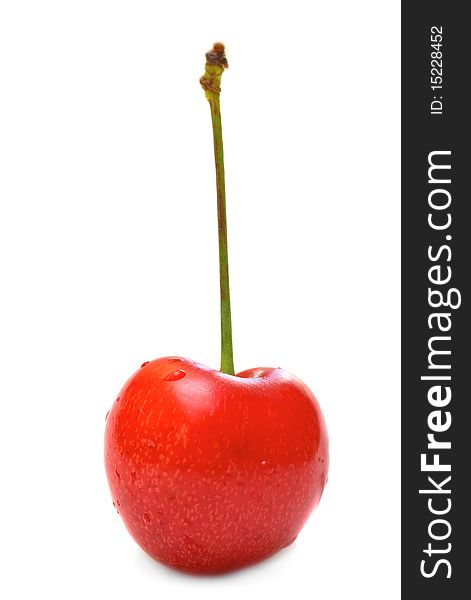 The fresh sweet cherry on white background