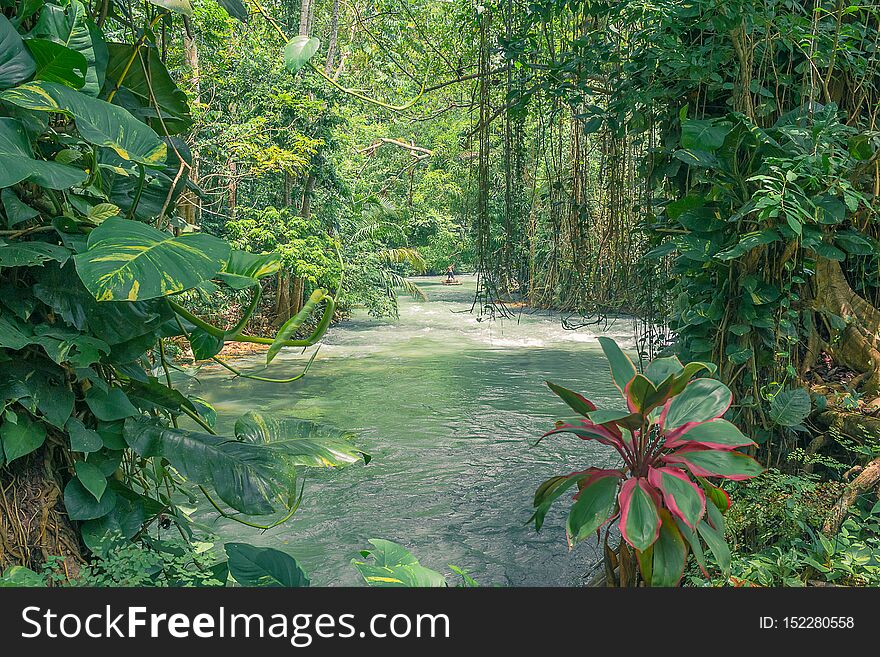 Man taking a gentle river raft through the rain forest full of flowers and trees