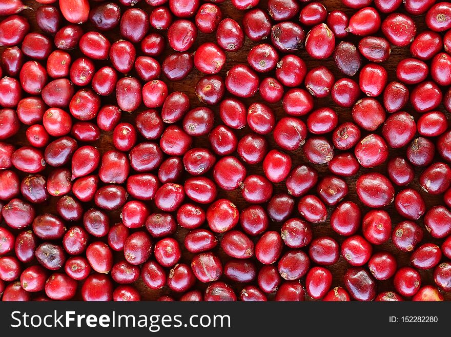 Close up of  fresh coffee beans for background