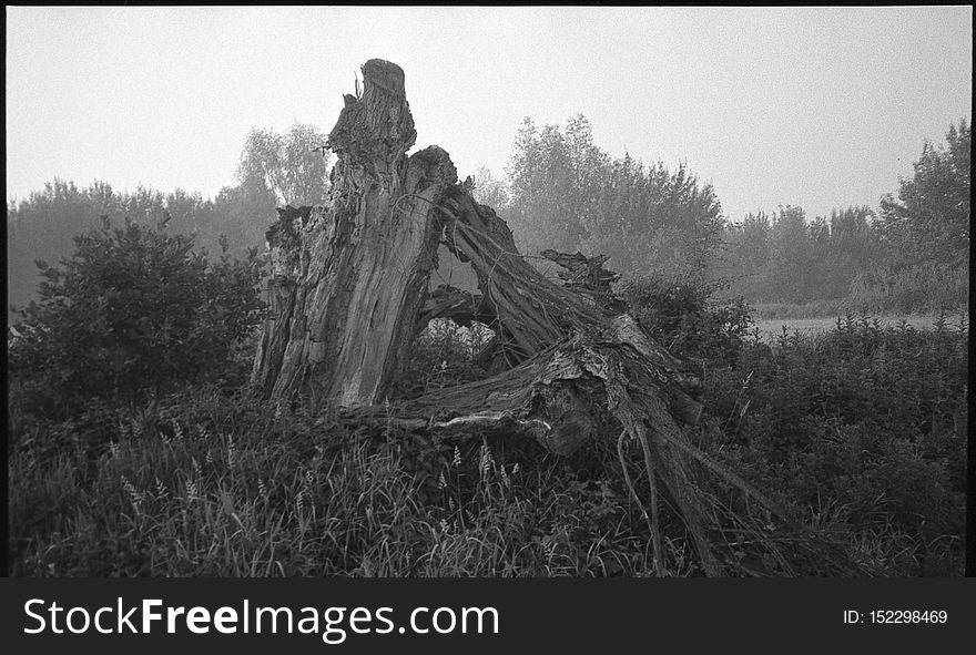 Misty sunrise near Michale. Pomerania, Poland. June, 2018. One of things I was looking for gear-wise, was a reliably working, compact film camera with a good enough lens. Point and shoot, autofocus, auto-everything, trouble-free tool for these moments where I&#x27;m basically braindead or in a hurry. Well, this old Pentax is one I&#x27;ve tried lastly. Seeing samples side by side, typical 50mm f/1.8 lens in similar circumstances wasn&#x27;t performing much better, so this one is a keeper. Misty sunrise near Michale. Pomerania, Poland. June, 2018. One of things I was looking for gear-wise, was a reliably working, compact film camera with a good enough lens. Point and shoot, autofocus, auto-everything, trouble-free tool for these moments where I&#x27;m basically braindead or in a hurry. Well, this old Pentax is one I&#x27;ve tried lastly. Seeing samples side by side, typical 50mm f/1.8 lens in similar circumstances wasn&#x27;t performing much better, so this one is a keeper.