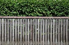 Hedge And Fence Stock Image Hedge And Fence Stock Image