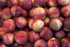 Nectarines Royalty Free Stock Photography Nectarines Royalty Free Stock Photography