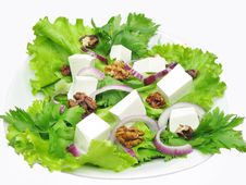 Vegetable Salad With Cheese Royalty Free Stock Photo Vegetable Salad With Cheese Royalty Free Stock Photo