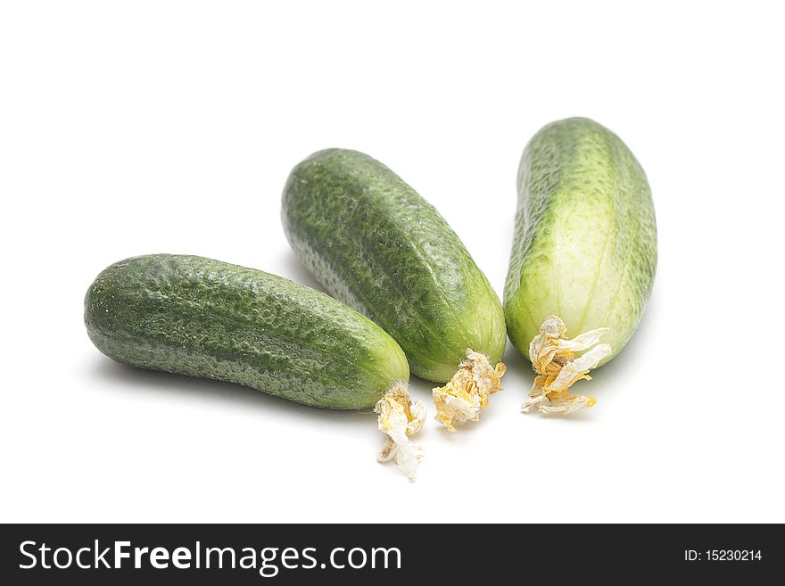 Three ripe cucumbers isolated on white background. Three ripe cucumbers isolated on white background