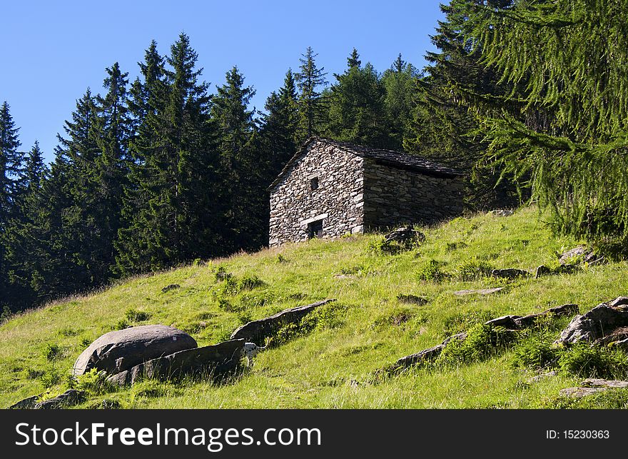 House in the meadow