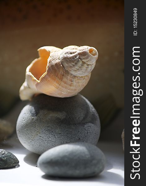 A broken sea shell perched on top of a grey beach pebble. set on a portrait format, with room for copy above image. A broken sea shell perched on top of a grey beach pebble. set on a portrait format, with room for copy above image.