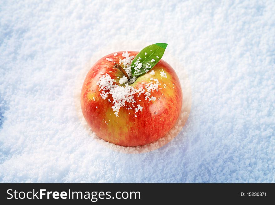Fresh red apple in snow - closeup