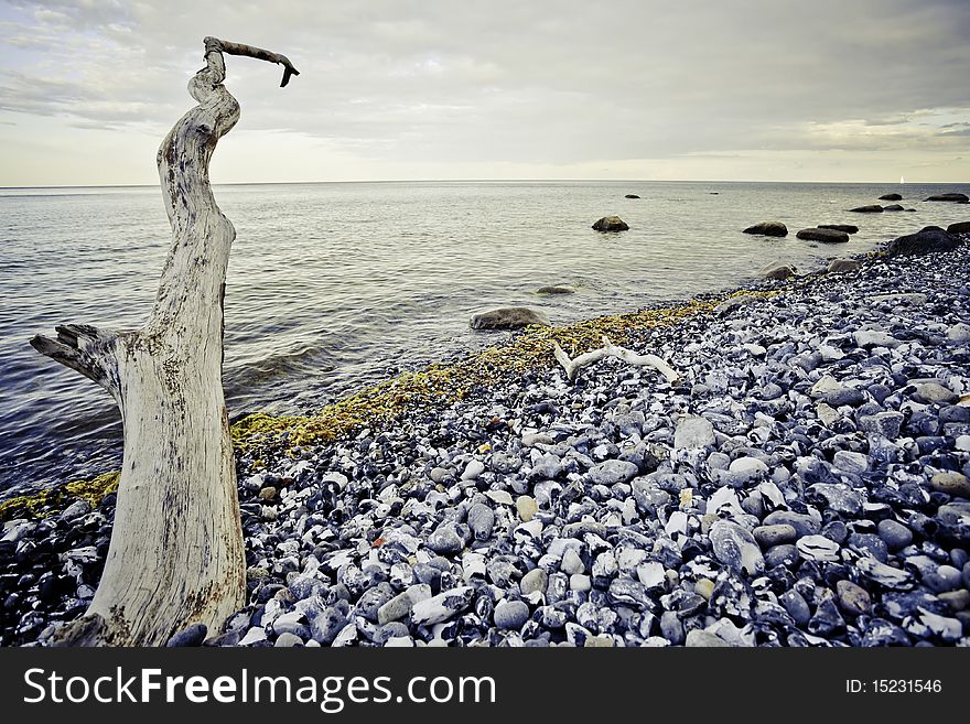 Rocky beach on the island of rï¿½gen, germany