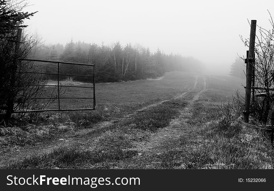 A seldom used road leads into the distant foggy horizon. A seldom used road leads into the distant foggy horizon.