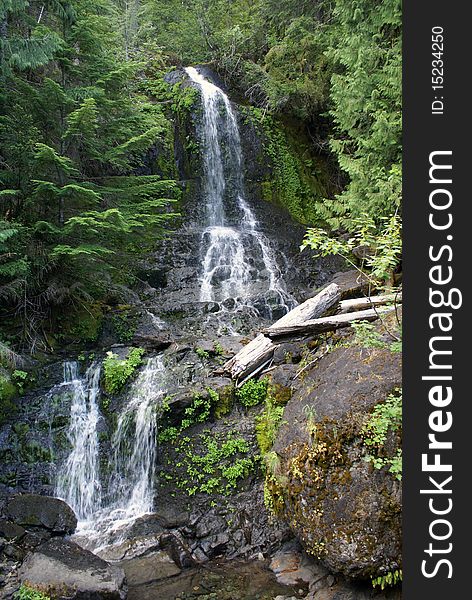 Waterfall At Mount Rainier National Park