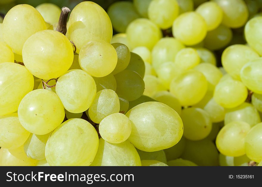 Background of ripe, juicy white grapes