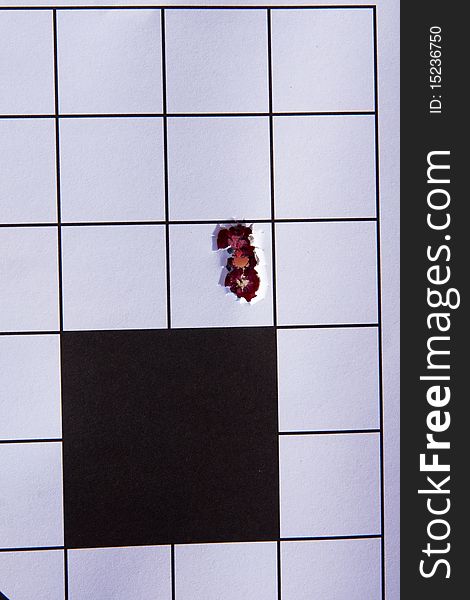 Excellent grouping of three bullet holes on black and white paper target