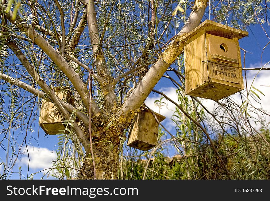 An image of boxes used to protect the bird species. An image of boxes used to protect the bird species