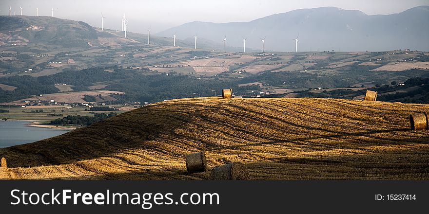 Fields cultivate to grain in campania italy. Fields cultivate to grain in campania italy