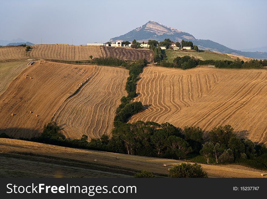 Fields Grain With Bales