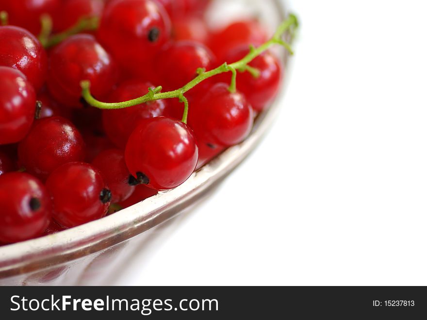 Red currants on a plate, isolated on white, close-up