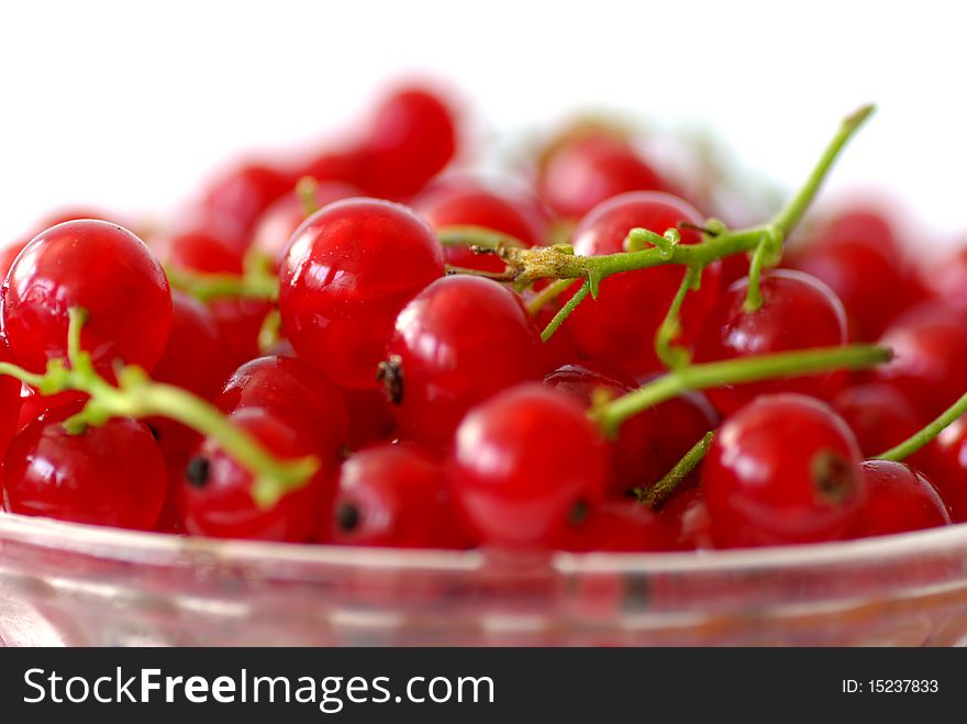 Red currants on a plate, isolated on white, close-up