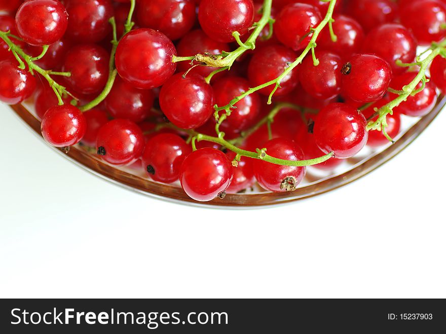 Red currants on a plate, isolated on white, close-up