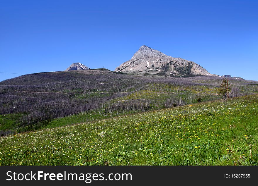 Triple divide peak in Glacier national park Montana