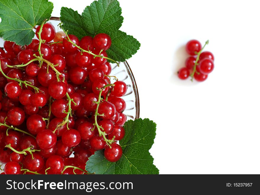 Red currants on a plate, isolated on white, top view