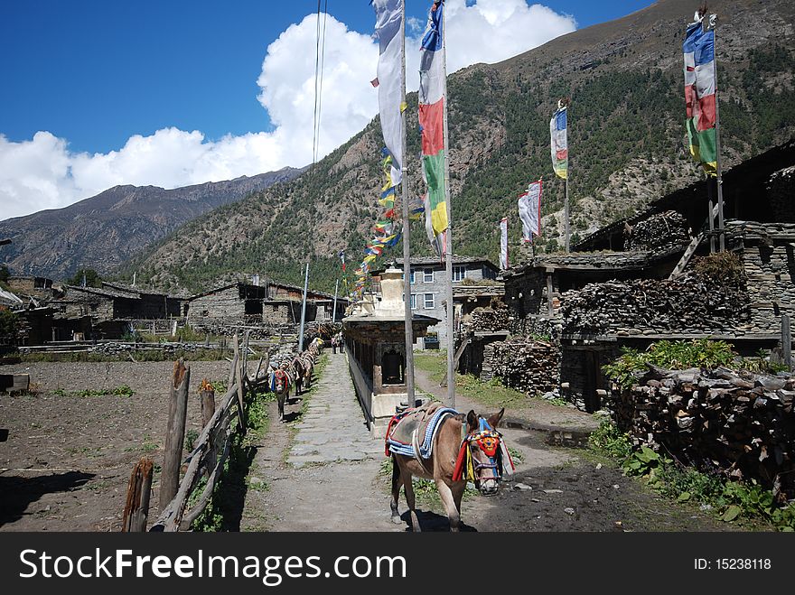 Azure stream landscape in Nepal. Azure stream landscape in Nepal