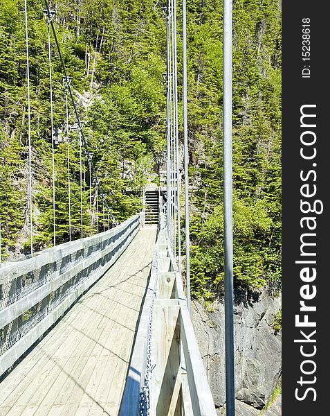 Suspension Bridge At La Manche Provincial Park