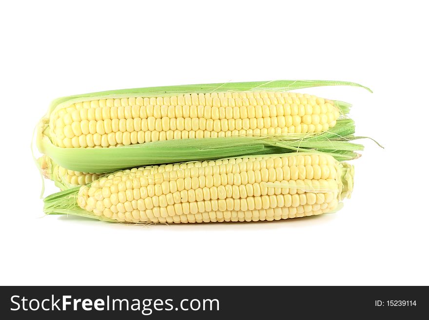 Corn cob sweetcorn ready for cooking isolated on white