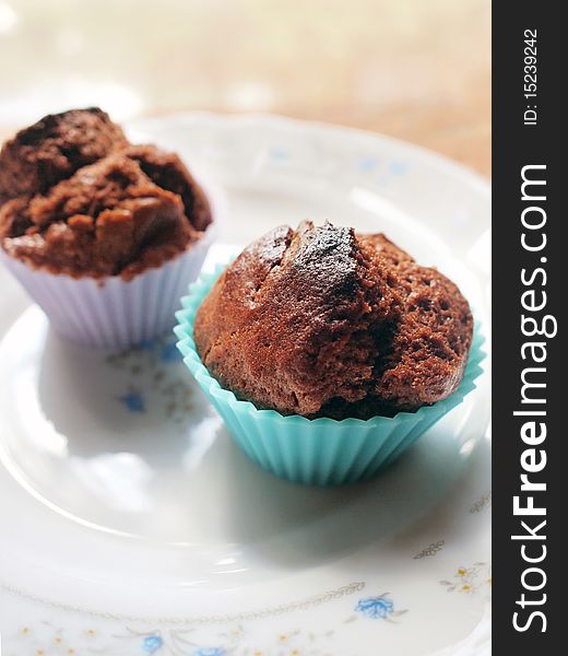 Two chocolate cupcakes on a plate