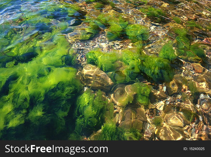 Underwater rocks, sharp and very dangerous, mirror on the surface, clear water