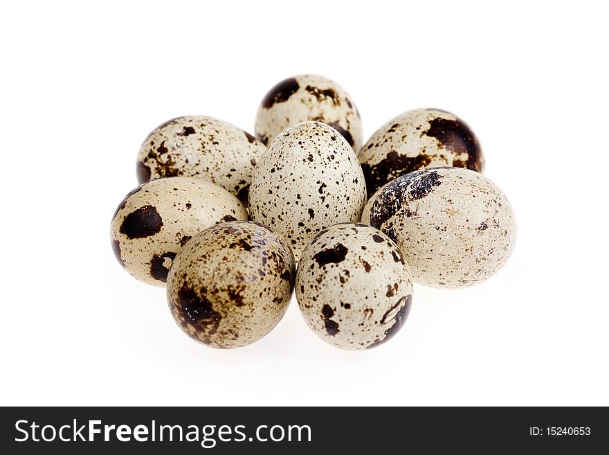 Quail egg