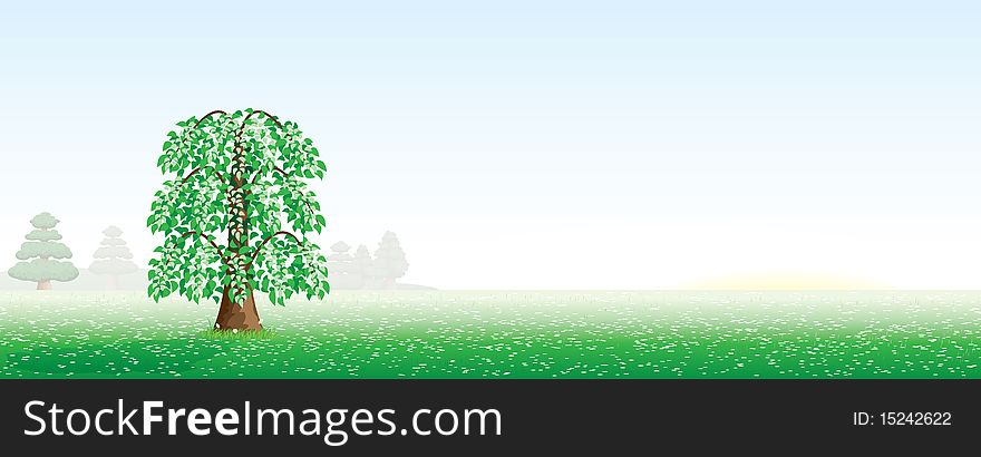 Summer landscape with a tree (sunrise)