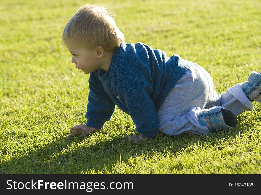Baby boy crawling on the grass in colour on a sunny day. Baby boy crawling on the grass in colour on a sunny day.