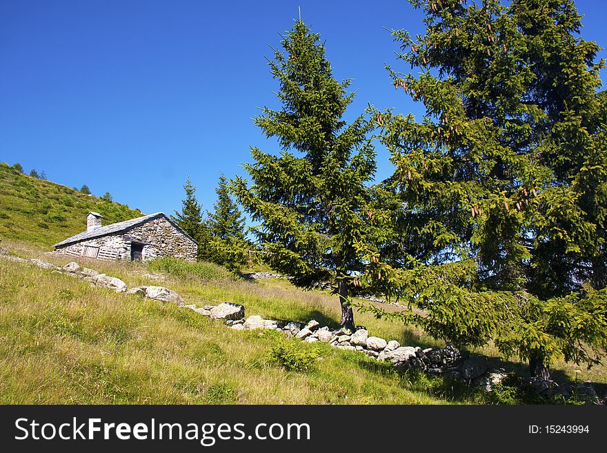 House in the meadow