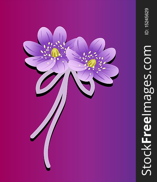 Lotus Flowers with bow an purple background